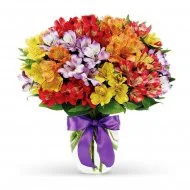 Яркое чувство Яркое чувство